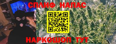 дживик Гагарин