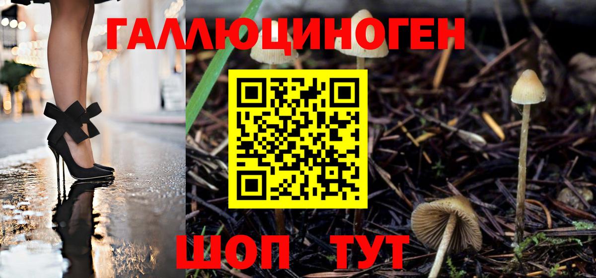 Псилоцибиновые грибы ЛСД  Вход с VPN  Лабинск 